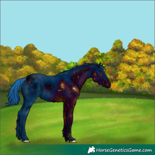 Horse Color:ERROR: UNKNOWN ANOMALY