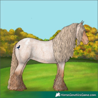 Horse Color:Red Roan Varnish 