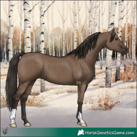 Horse Color:Liver Red Dun 