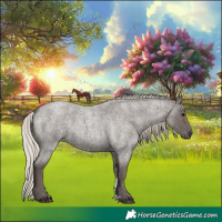 Horse Color:Silver Blue Roan Sabino 