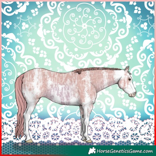 Horse Color:Watercolor Chestnut Ice Sabino