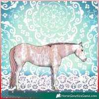 Horse Color:Watercolor Chestnut Ice Sabino 
