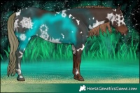 Horse Color:White Spotted Liver Chestnut Ice 
