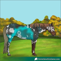 Horse Color:White Spotted Liver Chestnut Ice 