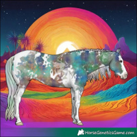 Horse Color:Nacre White Spotted Silver Buckskin Splash Tobiano 