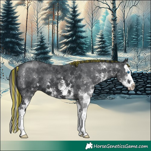 Horse Color:Painted White Spotted Black Splash