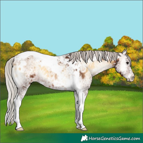 Horse Color:Silver Brown Ice Onyx Tobiano