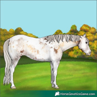 Horse Color:Silver Brown Ice Onyx Tobiano 