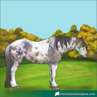 Horse Color:Nacre Brown Ice Tobiano 