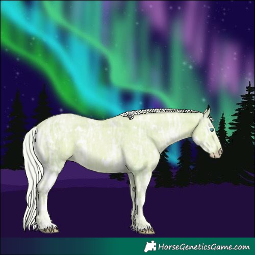 Horse Color:Watercolor White Spotted Cremello Ice