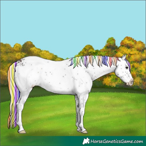 Horse Color:Painted White Spotted Silver Brown