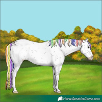 Horse Color:Painted White Spotted Silver Brown 