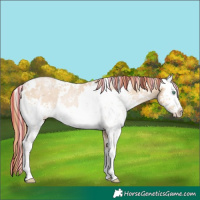 Horse Color:Painted White Spotted Smoky Black Pearl Rabicano 