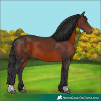 Horse Color:Brown 