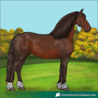 Horse Color:Liver Chestnut 