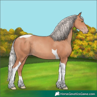 Horse Color:Silver Amber Champagne Tobiano Rabicano