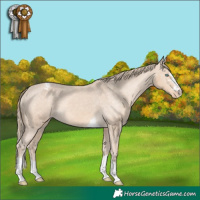 Horse Color:Perlino Snowcap 