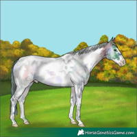 Horse Color:Nacre Watercolor Blue Onyx Chinchilla Sabino Tobiano 