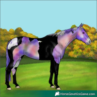 Horse Color:Nacre Watercolor Blue Onyx Tobiano