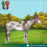 Horse Color:Platinum White Spotted Chocolate Brown Dun 