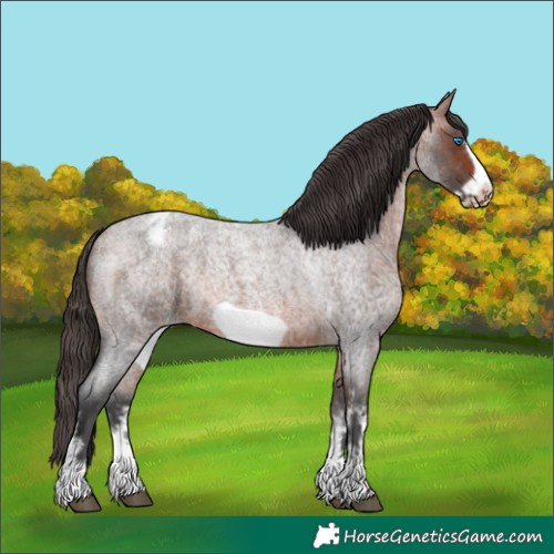 Horse Color:Bay Roan Sabino Frame Varnish