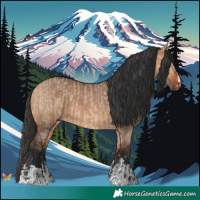 Horse Color:Bay Dun  and Bay Dun 