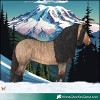 Horse Color:Bay Dun  and Bay Dun 