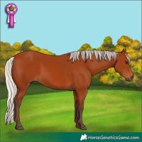 Horse Color:Silver Bay 
