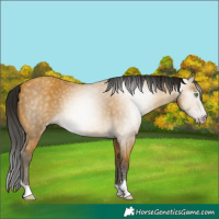 Horse Color:Gray Amber Cream Champagne 