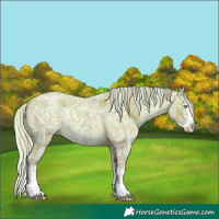 Horse Color:Plaid  Silver Sable Champagne Ice Roan Sabino Splash 