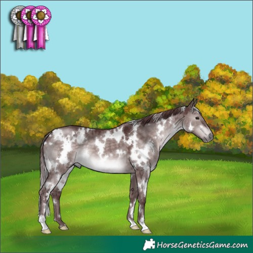 Horse Color:Platinum White Spotted Chocolate Brown Dun