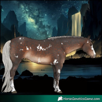 Horse Color:White Spotted Silver Brown Sabino 