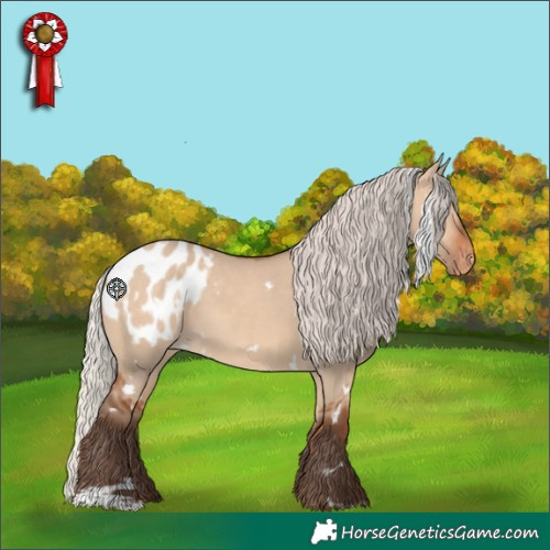 Horse Color:White Spotted Silver Bay Dun Appaloosa 