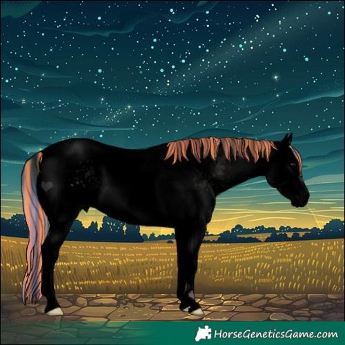 Horse Color:Void Painted Nacre White Spotted Silver Grullo Tobiano 