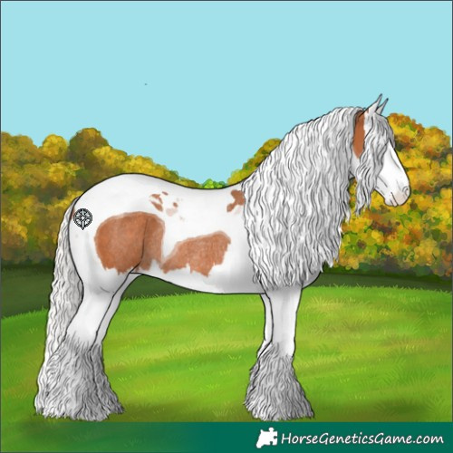Horse Color:Silver Bay Splash Tobiano Rabicano 