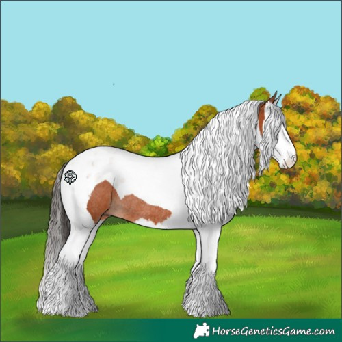 Horse Color:Bay Splash Tobiano Rabicano 