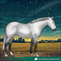 Horse Color:Gray Brown Roan Rabicano 