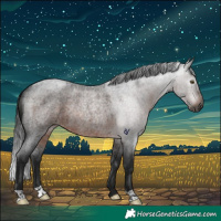 Horse Color:Gray Brown Roan Rabicano 