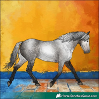 Horse Color:Gray Void Brown Roan Dun Rabicano 