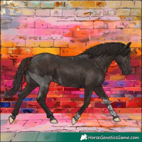 Horse Color:Liver Chestnut Tobiano 