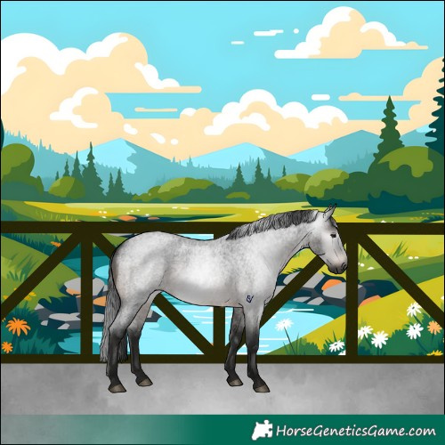 Horse Color:Gray Brown Roan Rabicano 