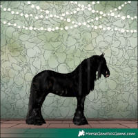 Horse Color:Void Brown Roan Leopard Rabicano 