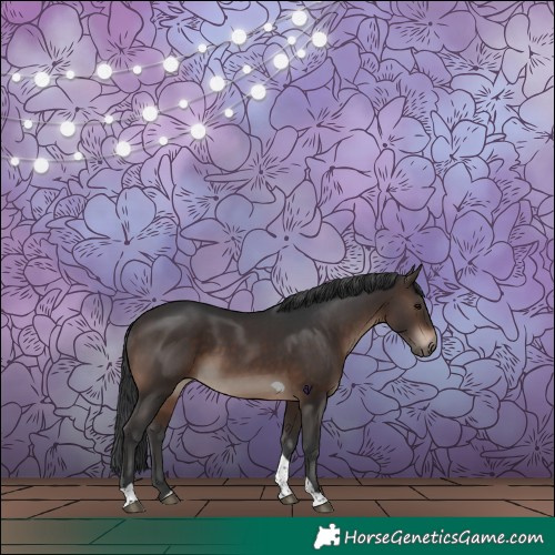 Horse Color:Brown Tobiano 