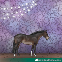 Horse Color:Brown Tobiano 