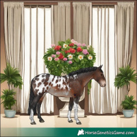 Horse Color:Brown Tobiano Blanket 
