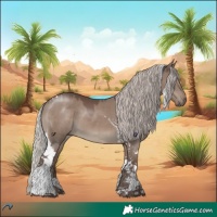 Horse Color:Silver Grullo Tobiano 