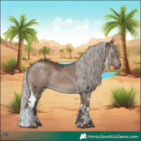 Horse Color:Silver Grullo Tobiano 