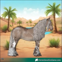 Horse Color:Silver Grullo Tobiano
