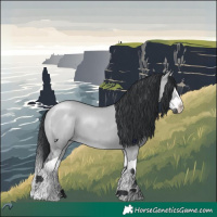 Horse Color:Grullo Chinchilla Splash