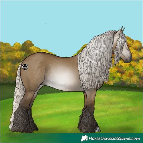 Horse Color:Gray Silver Smoky Grullo Rabicano 